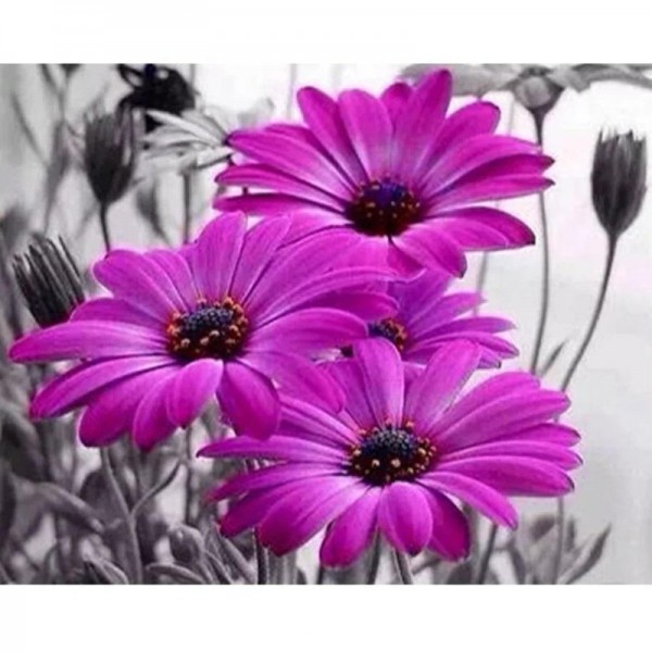 Violette Blumen