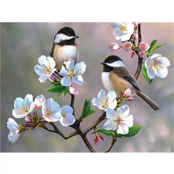 Vögel in blühenden Bäumen