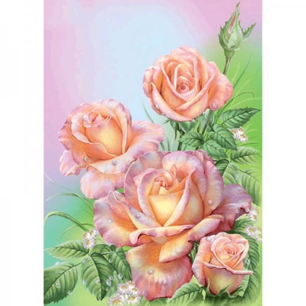 Rosen Rosa